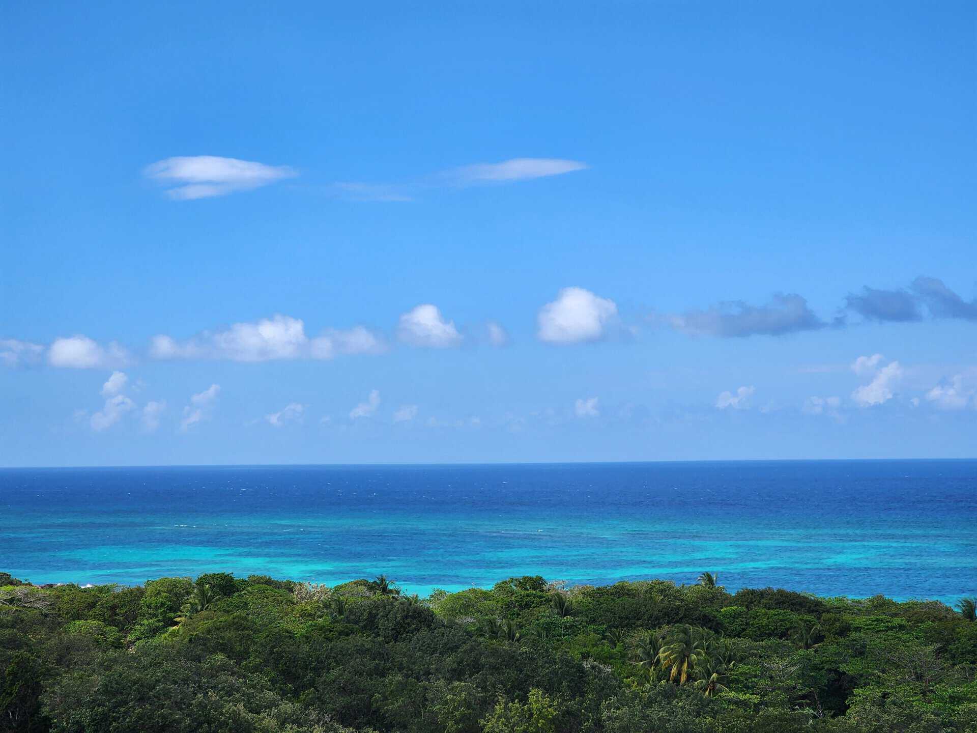 Stunning View of Roatan Ocean