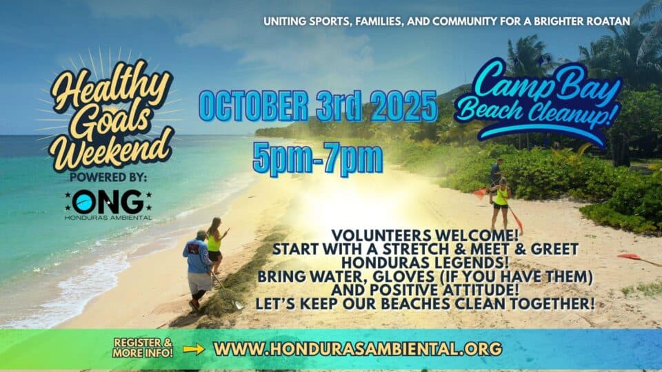 Ong camp bay beach cleanup flyer