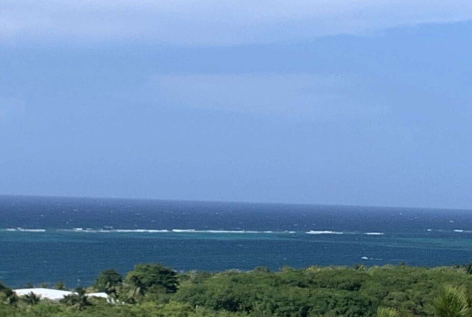 Screen shot 2022 04 17 at 10.08.39 am