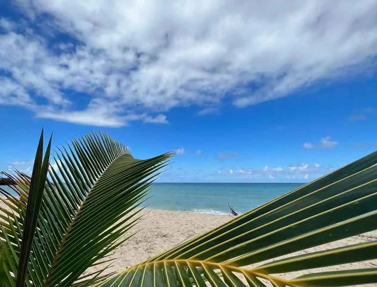 Sunset vistas beach e1726601449916[1]